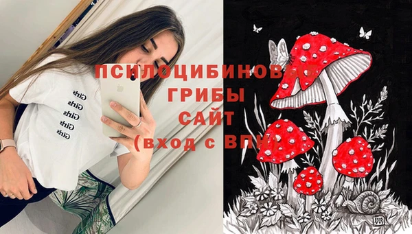 ешки Заводоуковск