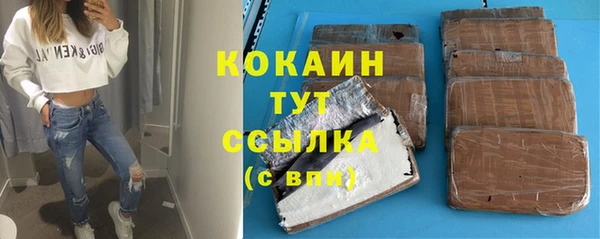 индика Нефтегорск