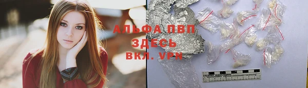 молекула духа Заполярный