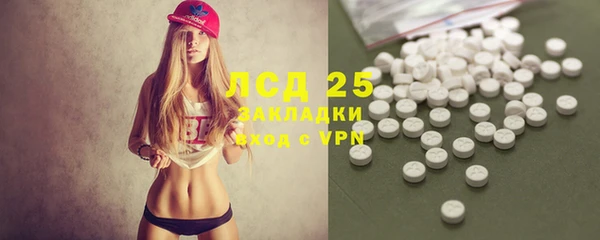 сатива Михайловка