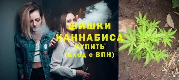 индика Нефтегорск