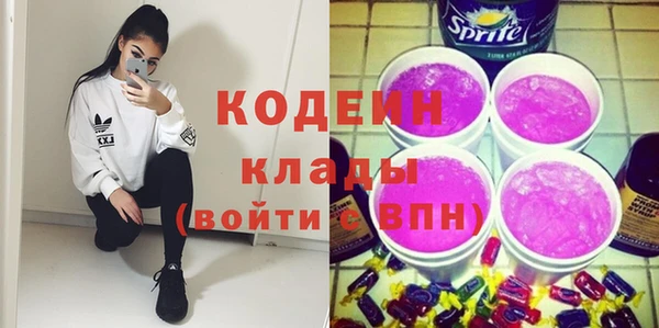 индика Нефтегорск